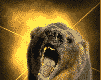 grizzly-bears-free-animated-gameznet 08.gif